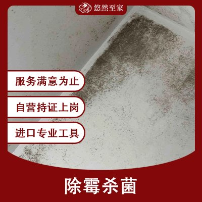 除霉杀菌